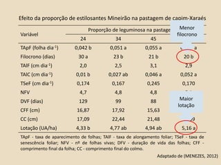 Variável
Proporção de leguminosa na pastagem (%)
24 34 45 52
TApF (folha dia-1) 0,042 b 0,051 a 0,055 a 0,057 a
Filocrono (dias) 30 a 23 b 21 b 20 b
TAlF (cm dia-1) 2,0 2,5 3,1 2,9
TAlC (cm dia-1) 0,01 b 0,027 ab 0,046 a 0,052 a
TSeF (cm dia-1) 0,174 0,167 0,245 0,170
NFV 4,7 4,8 4,8 5,1
DVF (dias) 129 99 88 104
CFF (cm) 16,87 17,92 15,63 17,54
CC (cm) 17,09 22,44 21,48 21,09
Lotação (UA/ha) 4,33 b 4,77 ab 4,94 ab 5,16 a
TApF - taxa de aparecimento de folhas; TAlF - taxa de alongamento foliar; TSeF - taxa de
senescência foliar; NFV - nº de folhas vivas; DFV - duração de vida das folhas; CFF -
comprimento final da folha; CC - comprimento final do colmo.
Adaptado de (MENEZES, 2012)
Efeito da proporção de estilosantes Mineirão na pastagem de capim-Xaraés
Menor
filocrono
Maior
lotação
 