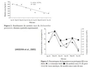 (AROEIRA et al., 2005)
 