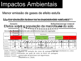 Impactos Ambientais
Menor emissão de gases de efeito estufa
Menor pressão sobre os ecossistemas naturais
Efeitos sobre a população da macrofauna do solo
 