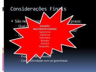 Considerações Finais
 São necessários estudos de longo prazo:
 Qual consórcio mais eficiente?
 Qual o manejo ideal para cada consórcio?
 Qual leguminosa funciona melhor em
determinada região?
 Solo
 Micro-clima
 Melhoramento genético:
 Produção de sementes
 Competitividade com as gramíneas
EQUIPES
MULTIDISCIPLINARES
Agronomia
Zootecnia
Veterinária
Biologia
Química
Geografia...
 