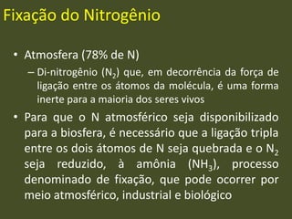Fixação do Nitrogênio
• Atmosfera (78% de N)
– Di-nitrogênio (N2) que, em decorrência da força de
ligação entre os átomos da molécula, é uma forma
inerte para a maioria dos seres vivos
• Para que o N atmosférico seja disponibilizado
para a biosfera, é necessário que a ligação tripla
entre os dois átomos de N seja quebrada e o N2
seja reduzido, à amônia (NH3), processo
denominado de fixação, que pode ocorrer por
meio atmosférico, industrial e biológico
 