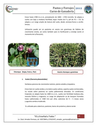 Pastos y Forrajes 2012
                                                   Curso de Ganadería
                Crece hasta 1700 m.s.n.m, precipitación de 1000 – 1750 mm/año. Se adapta a
                suelos con baja a mediana fertilidad, bajos niveles de P y pH de 4.5 – 7.0. Se
                adapta a un rango amplio de textura del suelo, desde arenoso-franco a arcillo-
                limoso.

                Utilización puede ser en pastoreo en asocio con gramíneas de hábitos de
                crecimiento erecto, así como también para la henificación y ensilaje (corte al
                momento de la floración).




Choreque (hojas, fruto y flor)                               Asocio choreque y gramínea



           J.   Kudzú (Pueraria phaseoloides)

                Herbácea perenne de crecimiento rastrero, planta voluble y trepadora.

                Crece bien en suelos ácidos y no tolera suelos salinos, soporta suelos encharcados,
                no resiste sobre pastoreo en suelos pobremente drenados. En condiciones
                tropicales se adapta hasta los 1600 m.s.n.m., suelos con fertilidad mediana-alta,
                necesita fósforo y magnesio; su rango de adaptación va de bosques húmedos
                hasta subhúmedos (> 1500 mm por año), sobrevive de 4 – 5 meses secos
                y aguanta sombra moderada.

                 Es utilizada para cobertura, pastoreo, banco de proteína y abono verde
                .



                             “ID y Enseñad a Todos “                                       10
     Lic. Zoot. Amador Pontaza, cel. 30373843 y 57423337, amador_pontaza@hotmail.com
 