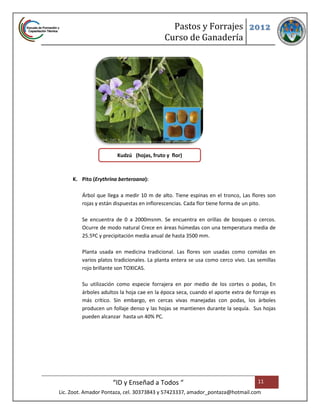 Pastos y Forrajes 2012
                                           Curso de Ganadería




                       Kudzú (hojas, fruto y flor)



     K. Pito (Erythrina berteroana):

         Árbol que llega a medir 10 m de alto. Tiene espinas en el tronco, Las flores son
         rojas y están dispuestas en inflorescencias. Cada flor tiene forma de un pito.

         Se encuentra de 0 a 2000msnm. Se encuentra en orillas de bosques o cercos.
         Ocurre de modo natural Crece en áreas húmedas con una temperatura media de
         25.5ºC y precipitación media anual de hasta 3500 mm.

         Planta usada en medicina tradicional. Las flores son usadas como comidas en
         varios platos tradicionales. La planta entera se usa como cerco vivo. Las semillas
         rojo brillante son TOXICAS.

         Su utilización como especie forrajera en por medio de los cortes o podas, En
         árboles adultos la hoja cae en la época seca, cuando el aporte extra de forraje es
         más crítico. Sin embargo, en cercas vivas manejadas con podas, los árboles
         producen un follaje denso y las hojas se mantienen durante la sequía. Sus hojas
         pueden alcanzar hasta un 40% PC.




                      “ID y Enseñad a Todos “                                      11
Lic. Zoot. Amador Pontaza, cel. 30373843 y 57423337, amador_pontaza@hotmail.com
 
