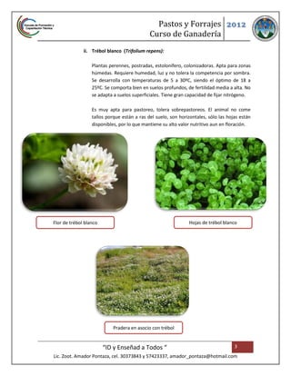 Pastos y Forrajes 2012
                                             Curso de Ganadería
              ii. Trébol blanco (Trifolium repens):

                  Plantas perennes, postradas, estolonífero, colonizadoras. Apta para zonas
                  húmedas. Requiere humedad, luz y no tolera la competencia por sombra.
                  Se desarrolla con temperaturas de 5 a 30ºC, siendo el óptimo de 18 a
                  25ºC. Se comporta bien en suelos profundos, de fertilidad media a alta. No
                  se adapta a suelos superficiales. Tiene gran capacidad de fijar nitrógeno.

                  Es muy apta para pastoreo, tolera sobrepastoreos. El animal no come
                  tallos porque están a ras del suelo, son horizontales, sólo las hojas están
                  disponibles, por lo que mantiene su alto valor nutritivo aun en floración.




Flor de trébol blanco                                          Hojas de trébol blanco




                            Pradera en asocio con trébol


                        “ID y Enseñad a Todos “                                      3
Lic. Zoot. Amador Pontaza, cel. 30373843 y 57423337, amador_pontaza@hotmail.com
 
