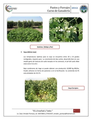 Pastos y Forrajes 2012
                                             Curso de Ganadería




                             Dolichos (follaje y flor)


     F. Soya (Glicine max)

         Las temperaturas óptimas para la soya se encuentra entre 20 a 33 grados
         centígrados, requiere para su crecimiento de dias cortos, desarrolla bien en una
         amplia gama de texturas de suelo excepto en los arenosos, el pH del suelo debe
         estar entre 5.6 a 8.2.

         Bajo condiciones de riego se puede obtener una producción 10,000 Kg MS/Ha.
         Puede utilizarse en forma de pastoreo o en la henificación. Su contenido de PC
         esta alrededor de 19.2 %




                                                                         Soya Forrajera




                     “ID y Enseñad a Todos “                                     7
Lic. Zoot. Amador Pontaza, cel. 30373843 y 57423337, amador_pontaza@hotmail.com
 