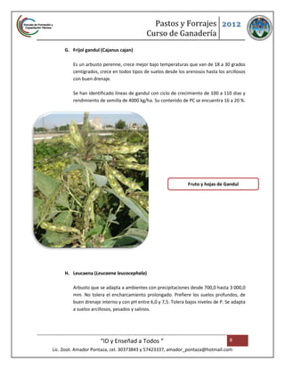 Pastos y Forrajes 2012
                                            Curso de Ganadería
     G. Frijol gandul (Cajanus cajan)

         Es un arbusto perenne, crece mejor bajo temperaturas que van de 18 a 30 grados
         centígrados, crece en todos tipos de suelos desde los arenosos hasta los arcillosos
         con buen drenaje.

         Se han identificado líneas de gandul con ciclo de crecimiento de 100 a 110 dias y
         rendimiento de semilla de 4000 kg/ha. Su contenido de PC se encuentra 16 a 20 %.




                                                                Fruto y hojas de Gandul




     H. Leucaena (Leucaena leucocephala)

         Arbusto que se adapta a ambientes con precipitaciones desde 700,0 hasta 3 000,0
         mm. No tolera el encharcamiento prolongado. Prefiere los suelos profundos, de
         buen drenaje interno y con pH entre 6,0 y 7,5. Tolera bajos niveles de P. Se adapta
         a suelos arcillosos, pesados y salinos.




                      “ID y Enseñad a Todos “                                       8
Lic. Zoot. Amador Pontaza, cel. 30373843 y 57423337, amador_pontaza@hotmail.com
 