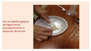 Con un coltello tagliamo
dei fagioli tenuti
precedentemente in
acqua per alcune ore
 