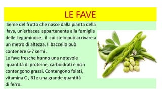 LE FAVE
Seme del frutto che nasce dalla pianta della
fava, un’erbacea appartenente alla famiglia
delle Leguminose, il cui stelo può arrivare a
un metro di altezza. Il baccello può
contenere 6-7 semi .
Le fave fresche hanno una notevole
quantità di proteine, carboidrati e non
contengono grassi. Contengono folati,
vitamina C , B1e una grande quantità
di ferro.
 