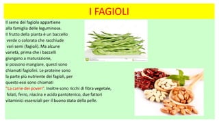 I FAGIOLI
Il seme del fagiolo appartiene
alla famiglia delle leguminose.
Il frutto della pianta è un baccello
verde o colorato che racchiude
vari semi (fagioli). Ma alcune
varietà, prima che i baccelli
giungano a maturazione,
si possono mangiare, questi sono
chiamati fagiolini. Le proteine sono
la parte più nutriente dei fagioli, per
questo essi sono chiamati
”La carne dei poveri”. Inoltre sono ricchi di fibra vegetale,
folati, ferro, niacina e acido pantotenico, due fattori
vitaminici essenziali per il buono stato della pelle.
 