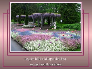 Legyen időd a kikapcsolódásra, ez egy csodálatos érzés. 