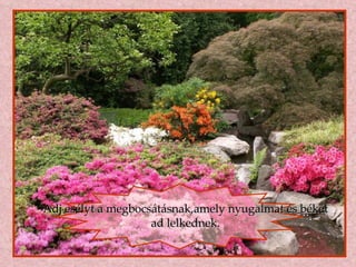 Adj esélyt a megbocsátásnak,amely nyugalmat és békét ad lelkednek. 