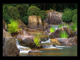 Legyen időd a köszönetadásra, így közelebb kerülsz embertársaidhoz   