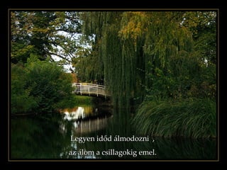 Legyen időd álmodozni  , az álom a csillagokig emel.   