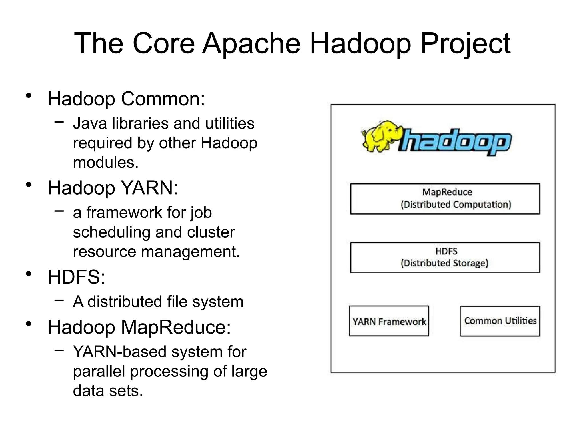 The Core Apache Hadoop Project
• Hadoop Common:
– Java libraries and utilities
required by other Hadoop
modules.
• Hadoop YARN:
– a framework for job
scheduling and cluster
resource management.
• HDFS:
– A distributed file system
• Hadoop MapReduce:
– YARN-based system for
parallel processing of large
data sets.
 