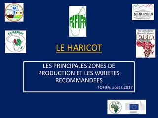 LE HARICOT
LES PRINCIPALES ZONES DE
PRODUCTION ET LES VARIETES
RECOMMANDEES
FOFIFA, août t 2017
 