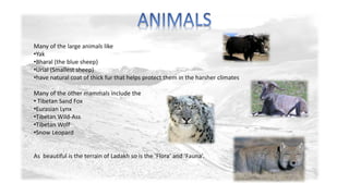 Many of the large animals like 
•Yak 
•Bharal (the blue sheep) 
•Urial (Smallest sheep) 
•have natural coat of thick fur that helps protect them in the harsher climates 
Many of the other mammals include the 
• Tibetan Sand Fox 
•Eurasian Lynx 
•Tibetan Wild-Ass 
•Tibetan Wolf 
•Snow Leopard 
As beautiful is the terrain of Ladakh so is the ‘Flora’ and ‘Fauna’. 
 