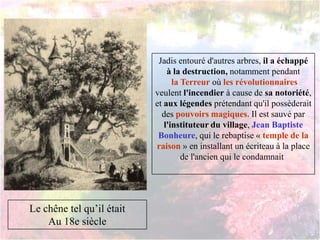 Le chêne tel qu’il était
Au 18e siècle
Jadis entouré d'autres arbres, il a échappé
à la destruction, notamment pendant
la Terreur où les révolutionnaires
veulent l'incendier à cause de sa notoriété,
et aux légendes prétendant qu'il possèderait
des pouvoirs magiques. Il est sauvé par
l'instituteur du village, Jean Baptiste
Bonheure, qui le rebaptise « temple de la
raison » en installant un écriteau à la place
de l'ancien qui le condamnait4
 