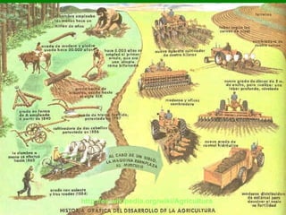 http://es.wikipedia.org/wiki/Agricultura 