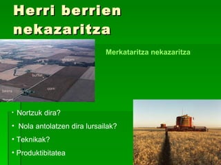Herri berrien nekazaritza Nortzuk dira? Nola antolatzen dira lursailak? Teknikak? Produktibitatea Merkataritza nekazaritza 