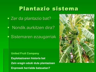 Plantazio sistema Zer da plantazio bat?   Nondik aurkitzen dira? Sistemaren ezaugarriak United Fruit Company Esplotazioaren historia bat Zein eragin eduki dute plantazioen Enpresek herrialde batzuetan?  
