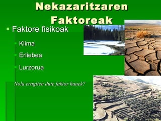 Nekazaritzaren Faktoreak Faktore fisikoak Klima Erliebea Lurzorua Nola eragiten dute faktor hauek? 
