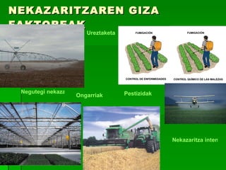 NEKAZARITZAREN GIZA FAKTOREAK Negutegi nekazaritza Nekazaritza intentsiboaren ondorioak Ongarriak Pestizidak Ureztaketa 