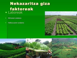 Nekazaritza giza faktoreak Laboreak Klimaren arabera Helburuaren arabera 
