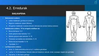SAILKAPENA
● Sakoneraren arabera:
● Lehen mailakoak: gorritasuna (eritema)
● Bigarren mailakoak: babak (fliktena)
● Hirugarren mailakoak: muskulu-ehunen nekrosia eta zarakar belztua (eskara)
● Hedaduraren arabera, “9”en erregela erabiltzen da:
● Burua eta lepoa: % 9
● Goiko gorputz-adar bakoitza: % 9
● Beheko gorputz-adar bakoitza: % 18
● Toraxaren aurrealdea eta sabelaldea: % 18
● Bizkar eta ipurmasailak: % 18
● Genitalak: % 1
● Larritasunaren arabera:
● Arina, % 10etik beherakoa eta ez du 2. mailakoa gainditzen
● Larria, % 10-30 bitartekoa. Edozein dela ere hedadura, eskuak, oinak, aurpegia, begiak edo genitalak
● Oso larria, % 30a baino gehiago
4.2. Erredurak
 