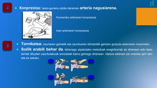 Humeroko arteriaren konpresioa
Izter-arteriaren konpresioa
● Konpresioa: lesio-gunera odola daraman arteria nagusiarena.
● Torniketea: zauriaren gainetik eta zaurituaren bihotzetik gertuko gorputz-adarraren muturrean.
● Soilik erabili behar da, lehenago aipatutako metodoak eraginkorrak ez direnean edo lesio
larriak dituzten zauritutakoak sorosleak baino gehiago direnean. Idatzia adierazi zer ordutan jarri den
eta ez askatu.
1
43
2
 