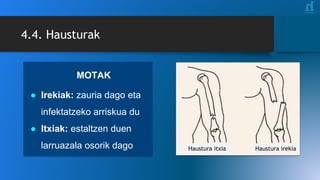 4.4. Hausturak
Haustura itxia Haustura irekia
MOTAK
● Irekiak: zauria dago eta
infektatzeko arriskua du
● Itxiak: estaltzen duen
larruazala osorik dago
 