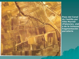 Paso del Canal
de Castilla por
Villa Murriel
(Palencia), vist
a de la inmensa
fragmentación
parcelaria
 