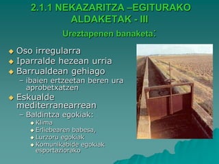 2.1.1 NEKAZARITZA –EGITURAKO
               ALDAKETAK - III
                Ureztapenen banaketa:

 Oso irregularra
 Iparralde hezean urria
 Barrualdean gehiago
    – ibaien ertzeetan beren ura
      aprobetxatzen
   Eskualde
    mediterranearrean
    – Baldintza egokiak:
       Klima
       Erliebearen babesa,
       Lurzoru egokiak
       Komunikabide egokiak
        esportaziorako
 