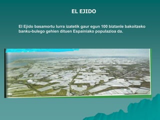 EL EJIDO

El Ejido basamortu lurra izatetik gaur egun 100 biztanle bakoitzeko
banku-bulego gehien dituen Espainiako populazioa da.
 