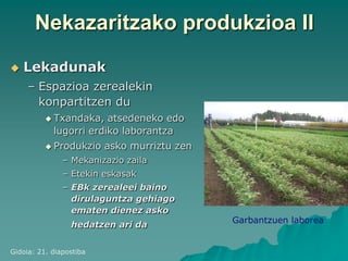 Nekazaritzako produkzioa II
   Lekadunak
     – Espazioa zerealekin
       konpartitzen du
           Txandaka,   atsedeneko edo
            lugorri erdiko laborantza
           Produkzio    asko murriztu zen
               – Mekanizazio zaila
               – Etekin eskasak
               – EBk zerealeei baino
                 dirulaguntza gehiago
                 ematen dienez asko
                                             Garbantzuen laborea
                 hedatzen ari da


Gidoia: 21. diapostiba
 