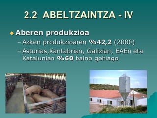 2.2 ABELTZAINTZA - IV
 Aberen   produkzioa
 – Azken produkzioaren %42,2 (2000)
 – Asturias,Kantabrian, Galizian, EAEn eta
   Katalunian %60 baino gehiago
 