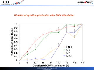 (c) 2009 Cellular Technology Limited - CONFIDENTIAL - Kinetics of cytokine production after CMV stimulation 