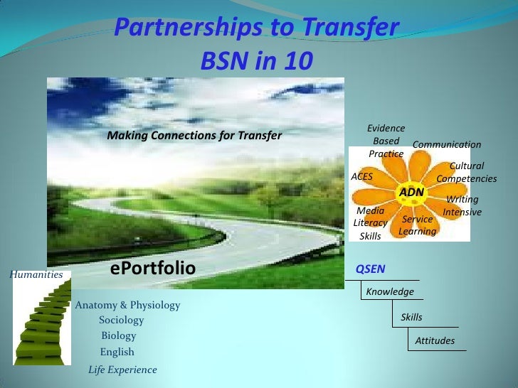 adn vs bsn