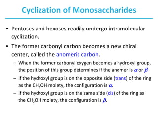 Cyclization of Monosaccharides
• Pentoses and hexoses readily undergo intramolecular
cyclization.
• The former carbonyl carbon becomes a new chiral
center, called the anomeric carbon.
– When the former carbonyl oxygen becomes a hydroxyl group,
the position of this group determines if the anomer is a or b.
– If the hydroxyl group is on the opposite side (trans) of the ring
as the CH2OH moiety, the configuration is a.
– If the hydroxyl group is on the same side (cis) of the ring as
the CH2OH moiety, the configuration is b.
 