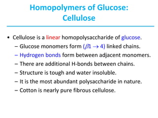 Homopolymers of Glucose:
Cellulose
• Cellulose is a linear homopolysaccharide of glucose.
– Glucose monomers form (b1  4) linked chains.
– Hydrogen bonds form between adjacent monomers.
– There are additional H-bonds between chains.
– Structure is tough and water insoluble.
– It is the most abundant polysaccharide in nature.
– Cotton is nearly pure fibrous cellulose.
 