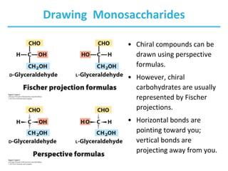 Drawing Monosaccharides
• Chiral compounds can be
drawn using perspective
formulas.
• However, chiral
carbohydrates are usually
represented by Fischer
projections.
• Horizontal bonds are
pointing toward you;
vertical bonds are
projecting away from you.
 