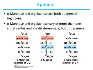 Epimers
• D-Mannose and D-galactose are both epimers of
D-glucose.
• D-Mannose and D-galactose vary at more than one
chiral center and are diastereomers, but not epimers.
 