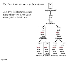 Figure 8-2
Only 2n-3 possible stereoisomers,
as there is one less stereo center
as compared to the aldoses.
The D-ketoses up to six carbon atoms
 