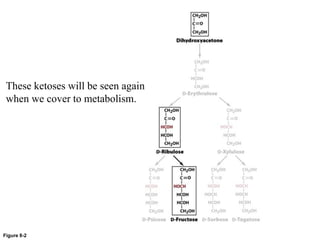 Figure 8-2
These ketoses will be seen again
when we cover to metabolism.
 