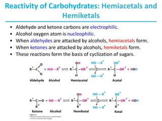 Reactivity of Carbohydrates: Hemiacetals and
Hemiketals
• Aldehyde and ketone carbons are electrophilic.
• Alcohol oxygen atom is nucleophilic.
• When aldehydes are attacked by alcohols, hemiacetals form.
• When ketones are attacked by alcohols, hemiketals form.
• These reactions form the basis of cyclization of sugars.
 