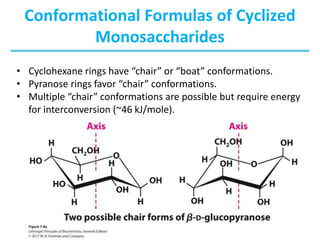Conformational Formulas of Cyclized
Monosaccharides
• Cyclohexane rings have “chair” or “boat” conformations.
• Pyranose rings favor “chair” conformations.
• Multiple “chair” conformations are possible but require energy
for interconversion (~46 kJ/mole).
 