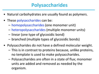 Polysaccharides
• Natural carbohydrates are usually found as polymers.
• These polysaccharides can be:
– homopolysaccharides (one monomer unit)
– heteropolysaccharides (multiple monomer units)
– linear (one type of glycosidic bond)
– branched (multiple types of glycosidic bonds)
• Polysaccharides do not have a defined molecular weight.
– This is in contrast to proteins because, unlike proteins,
no template is used to make polysaccharides.
– Polysaccharides are often in a state of flux; monomer
units are added and removed as needed by the
organism.
 