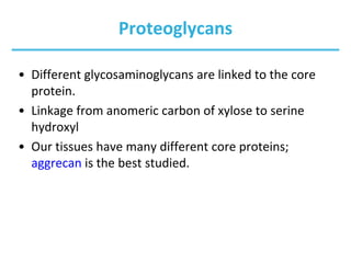 Proteoglycans
• Different glycosaminoglycans are linked to the core
protein.
• Linkage from anomeric carbon of xylose to serine
hydroxyl
• Our tissues have many different core proteins;
aggrecan is the best studied.
 