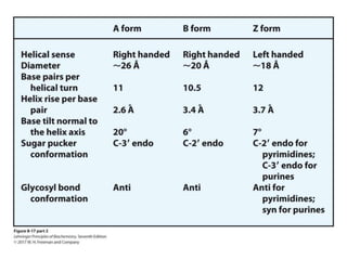 Lehninger_Ch8_Nucleotides.ppt that works | PPT