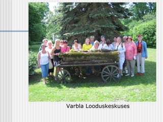 Varbla Looduskeskuses
 