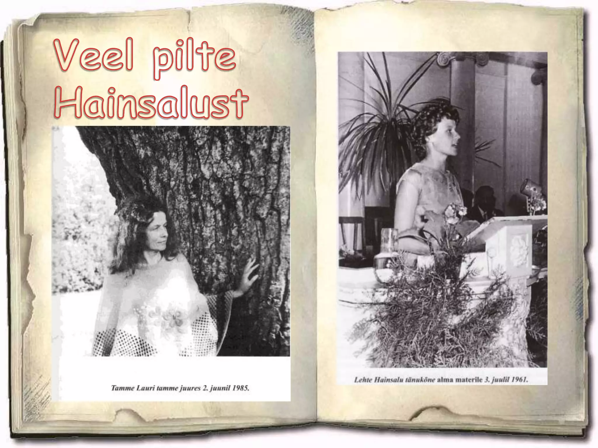 Oli nende 69 Eesti Vabariigi Ülemnõukogu liikme hulgas, kes 20. augustil 1991 hääletasid "Otsuse Eesti riiklikust iseseisvusest" poolt.Toompeal kirjanike kongressil (Lehte Hainsalu ja Kalju Kääri)Kirjandustund “Edasi” kaminasaalis.Lehte Hainsalu, Kersti Merilaas ja Karl Muru